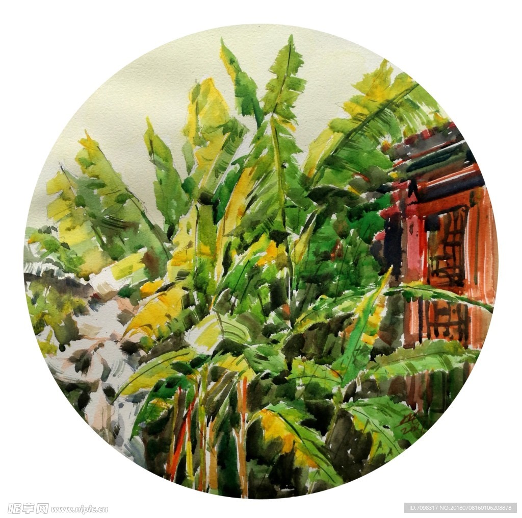 芭蕉