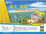 超品_欧了彩页