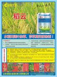 稻云 农药