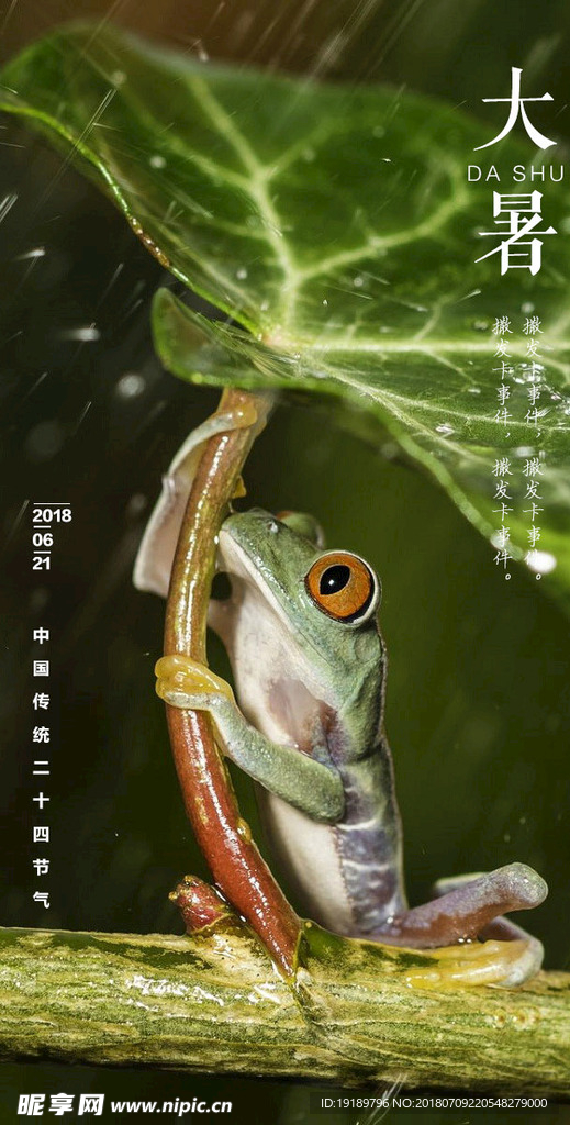 大暑