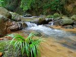 高山流水