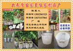 宣传彩页