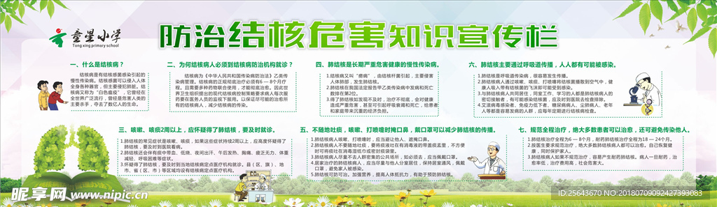 结核宣传栏  小学宣传栏  预