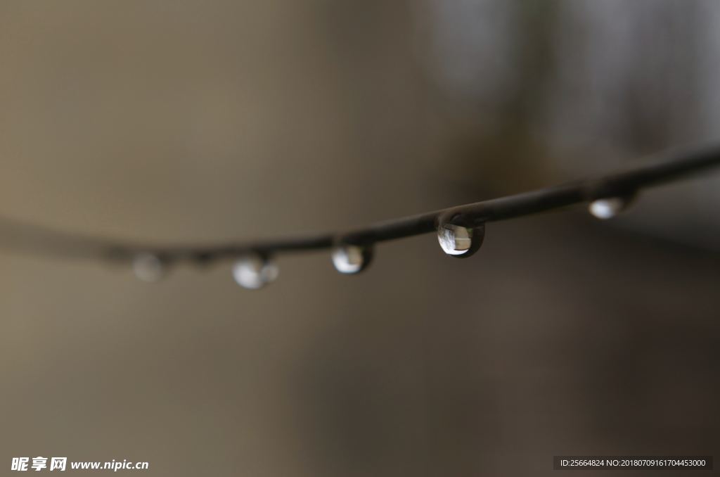 雨后的电线