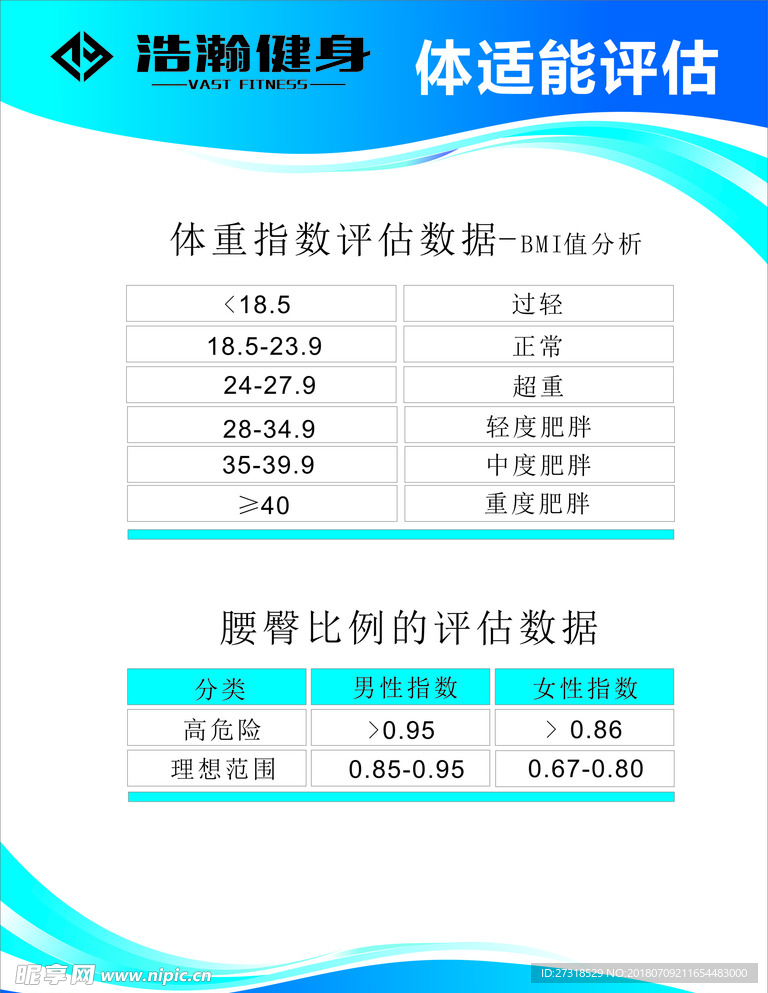 体能评估