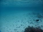 海底
