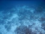 海底世界