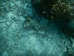 海底世界