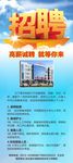 招聘展架