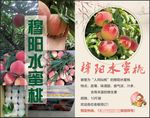 水蜜桃
