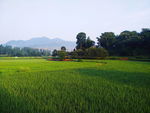 田园风光