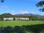 田园风光