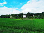 田园风光