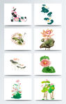 荷花