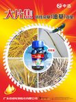 大片焦
