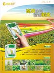 稻宝