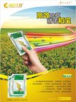 稻宝宣传单