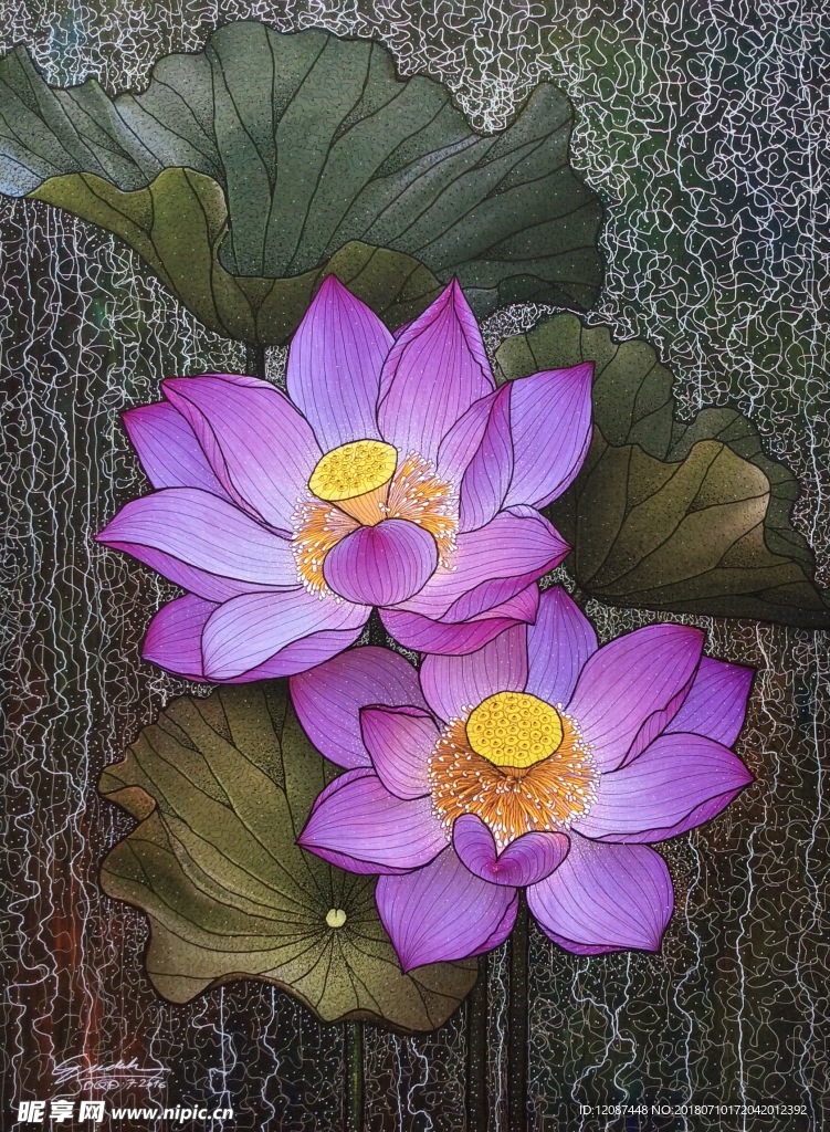 荷花