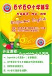暑假招生 传单 英语传单 补课