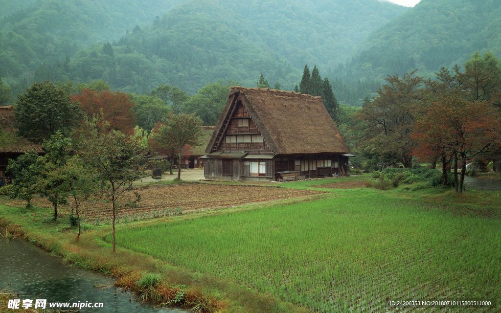 风景
