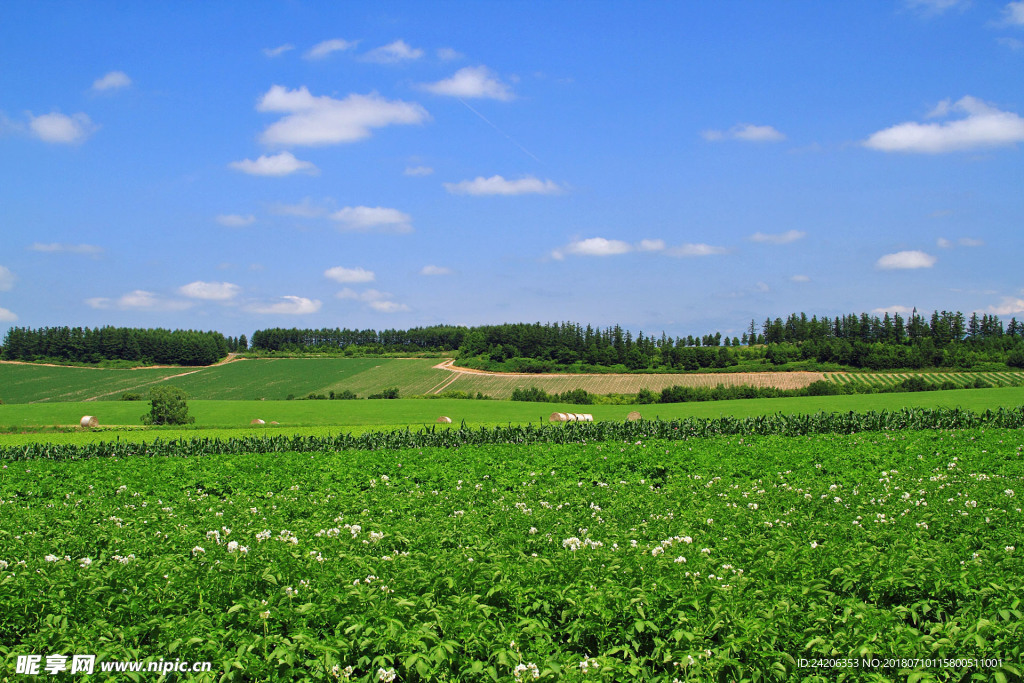 风景