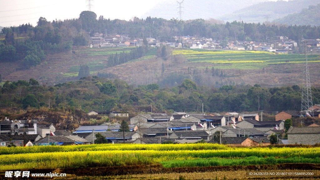 风景