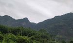 青山
