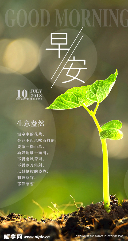 早安
