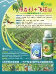 府委利 飞迁1 辣椒病毒病海报