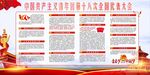 共青团十八大
