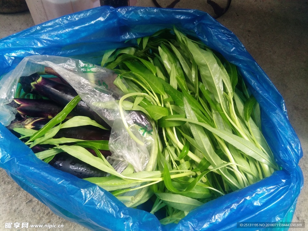 青菜