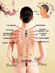 女性养生