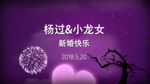 浪漫婚礼AE片头模板