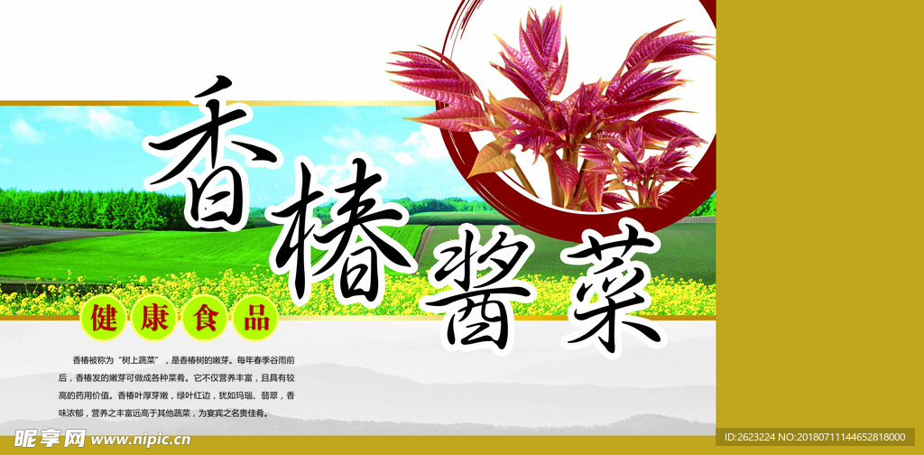 香椿酱菜2