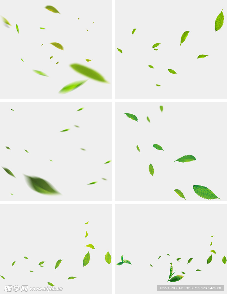 绿色树叶素材