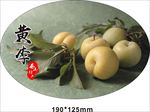 黄李-贴纸