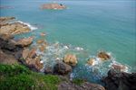 青岛渤海