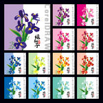 鸢尾花