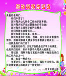 写给老师的话
