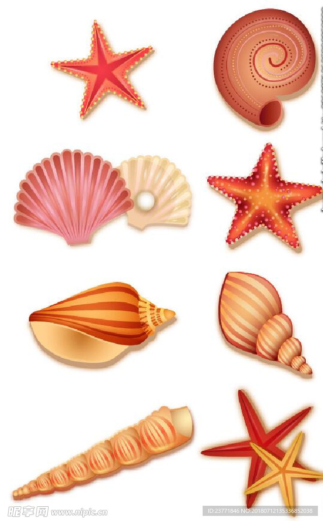 海星