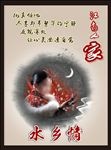 江南风情 江南水乡 江南人家