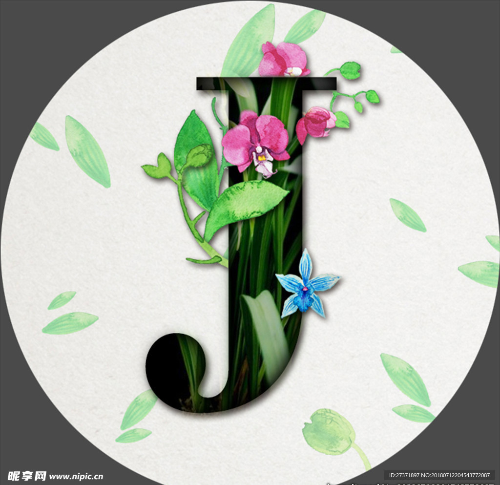 鲜花字母