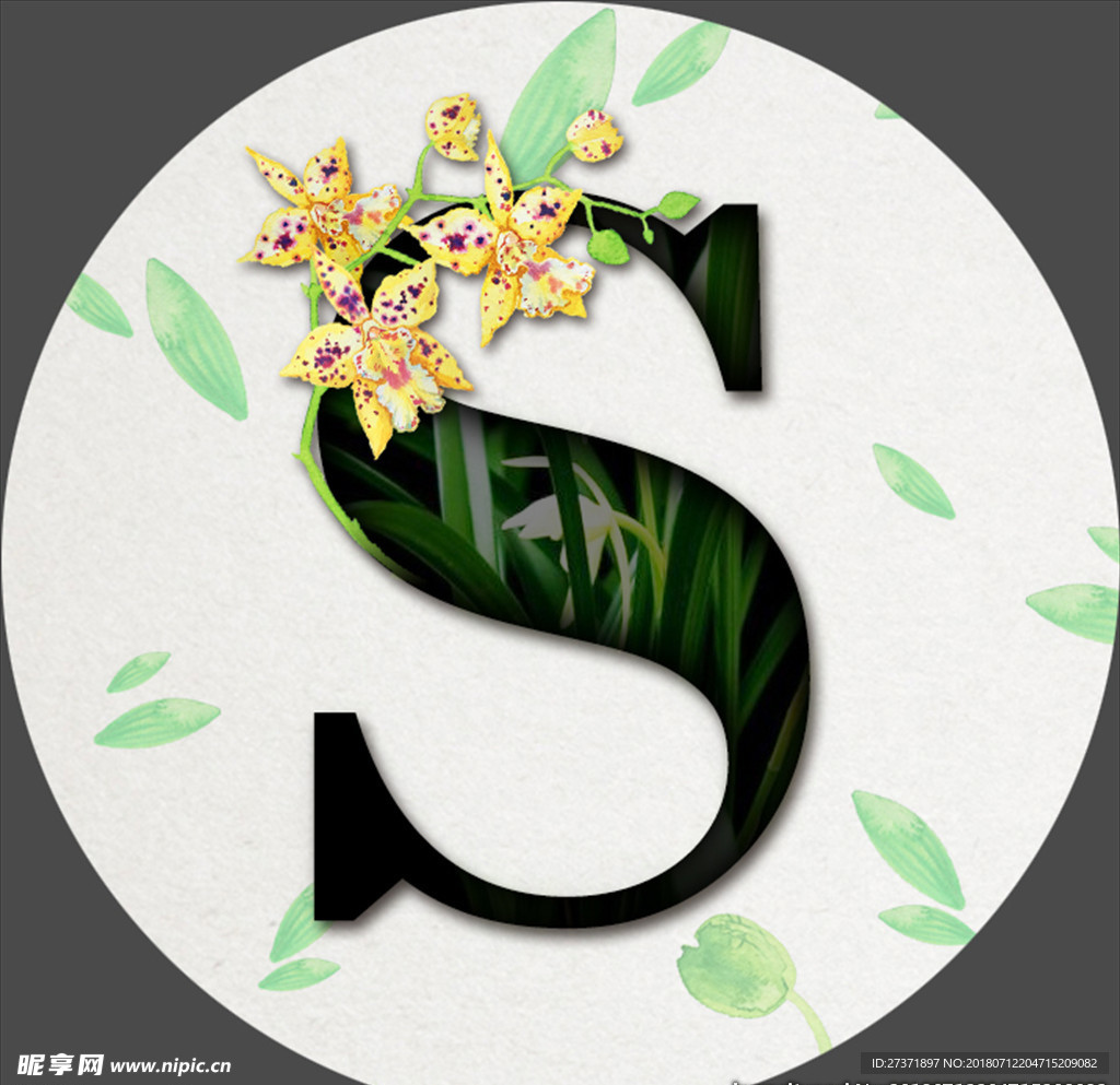 鲜花字母