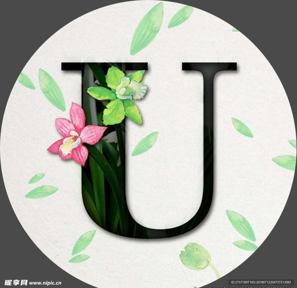 鲜花字母