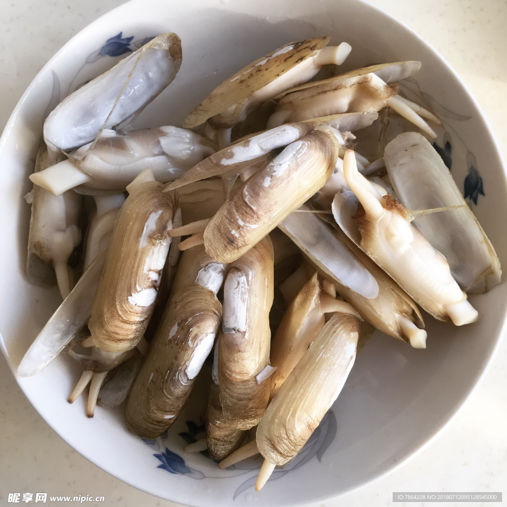 蛏子 贝壳类 软体动物 美食