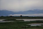渭河风光