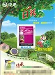 日托 宣传单