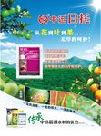 日托 宣传单柚子