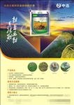 直播歌除草剂海报