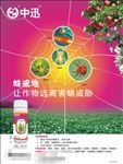 蛛戒地除螨双面小彩页